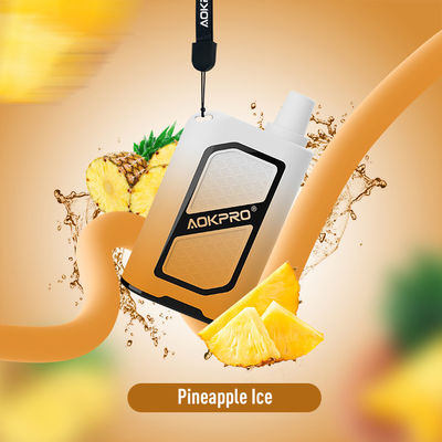 φιλικό προς το περιβάλλον PC τύπος-γ 4000 600mAh επανακαταλογηστέα ριπή ανανά φραγμών ριπών